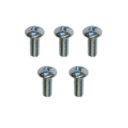 1958-60 GAS TANK SENDING UNIT SCREWS (SET)