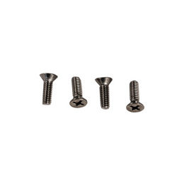 1958-1964 WINDOW FRAME MOULDING SCREWS