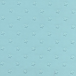 1962-64 HEADLINER AND SUN VISORS, 2 & 4 DR SEDAN, STAR, AQUA