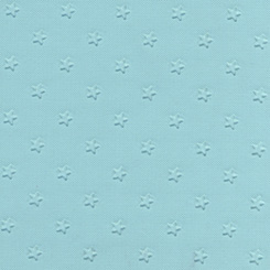 1962-64 HEADLINER AND SUN VISORS, 2 & 4 DR SEDAN, STAR, AQUA