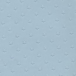 1965-66 HEADLINER, 2DR HT, STAR, BLUE